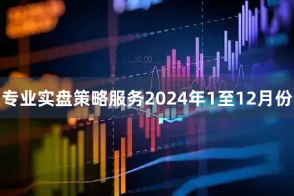 专业实盘策略服务　　2024年1至12月份